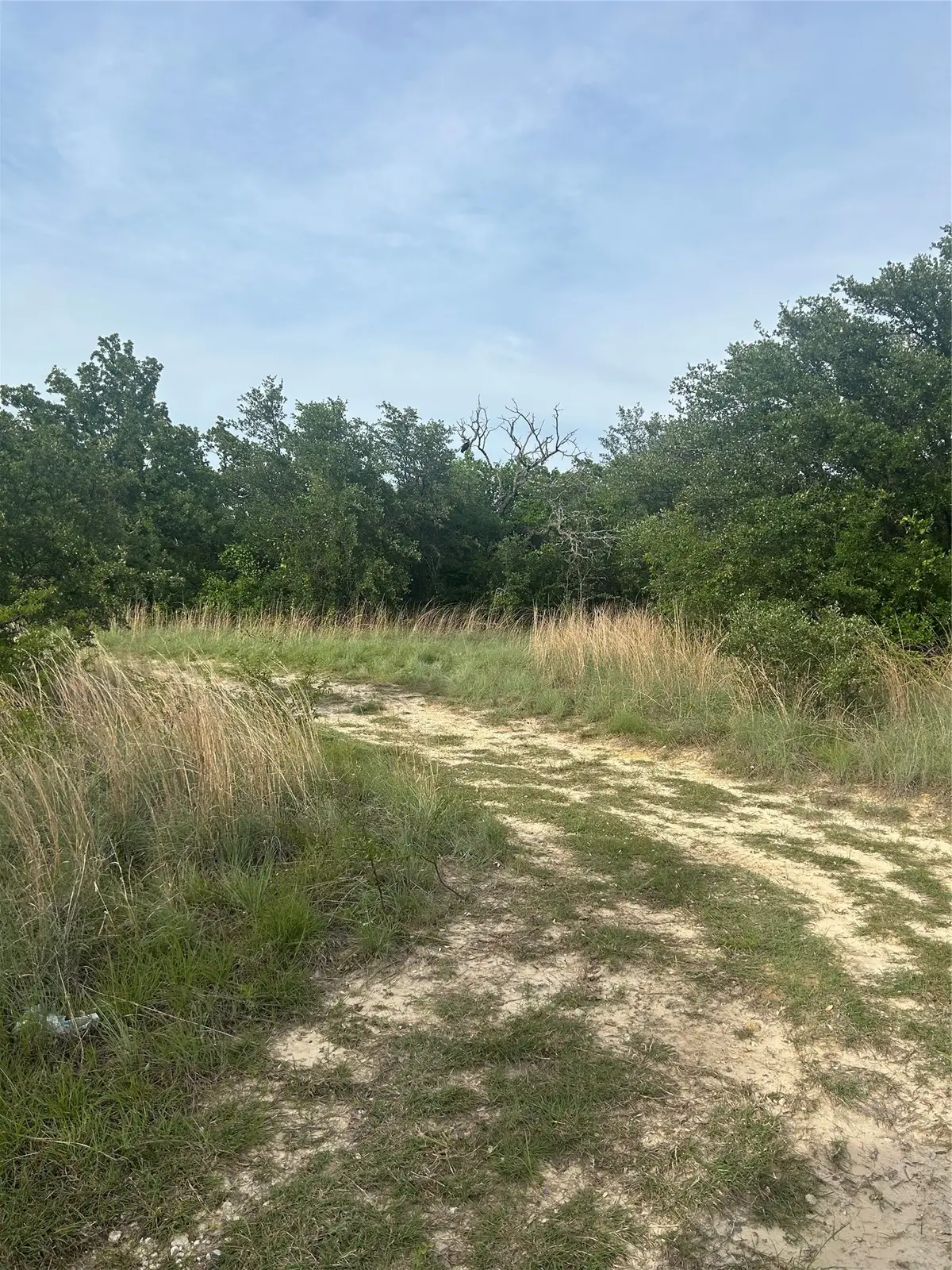 186 Pr 3873, Poolville, TX 76487 - #1