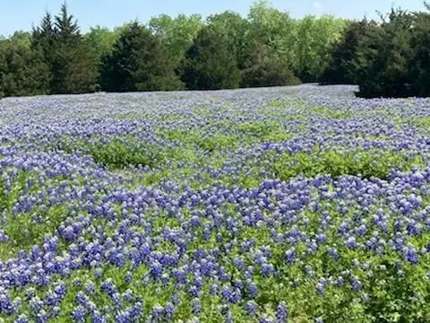 821 Ewing Road, Ferris, TX 75125