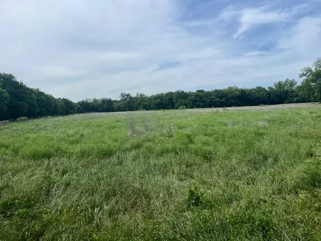 TBD E Collins, Stephenville, TX 76401 - #2