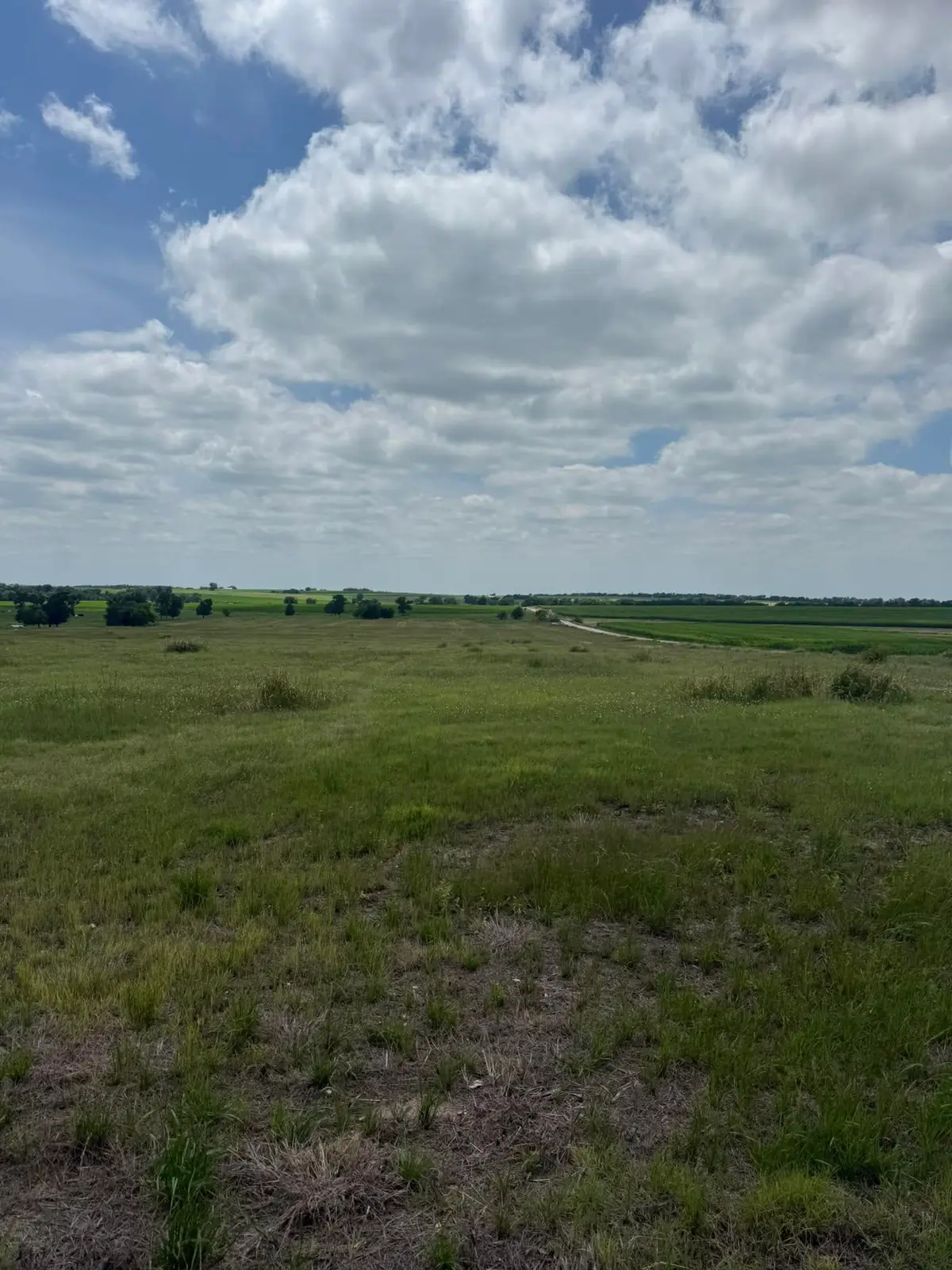509 County Road 378, Lott, TX 76656 - #1