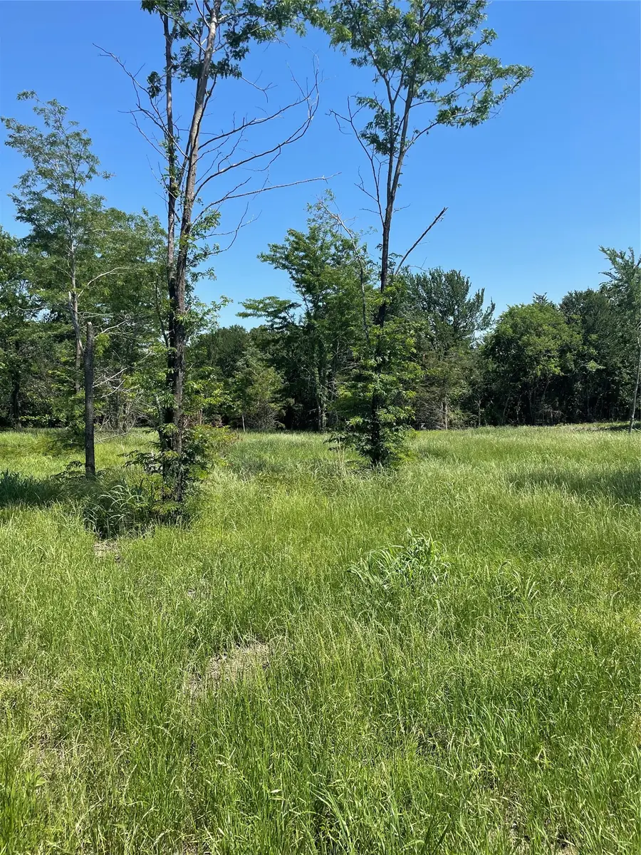 896 Blue Bird, Dodd City, TX 75438 - #3