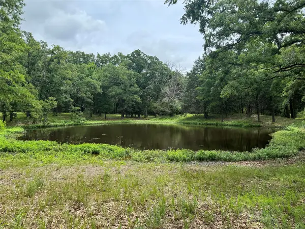 TBD Co Rd 4022, Kemp, TX 75143