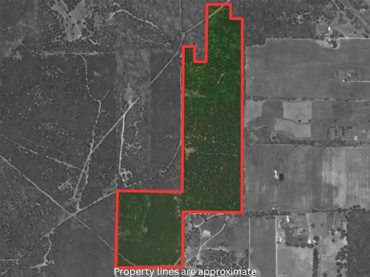 TBA County Road 3824, Hawkins, TX 75765 - #1