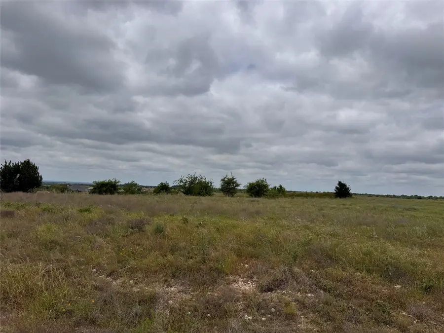 2908 Mattie Ross Road, Cresson, TX 76035 - #3
