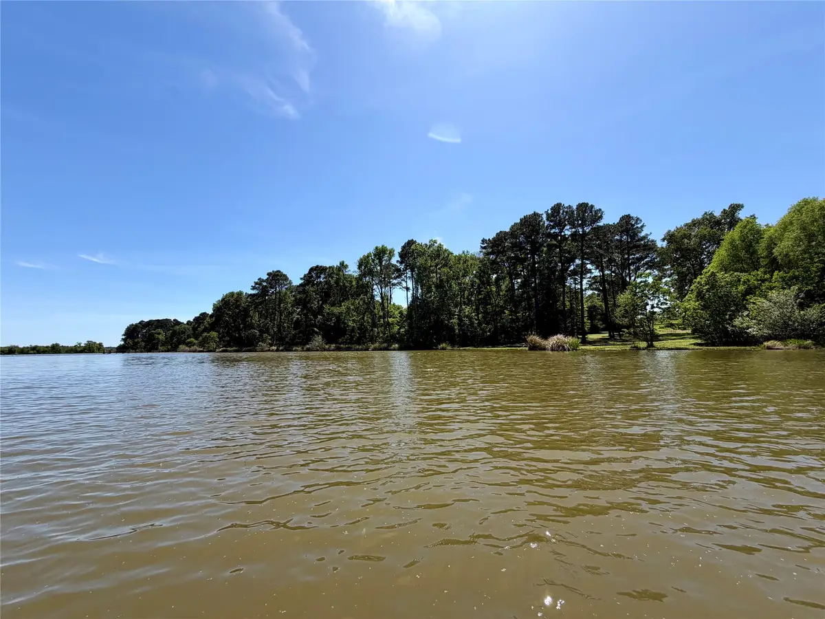 10196 County Road 3202, Chandler, TX 75758 - #1