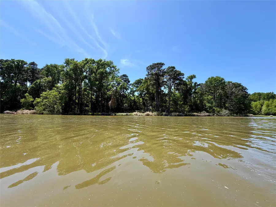 10196 County Road 3202, Chandler, TX 75758 - #2