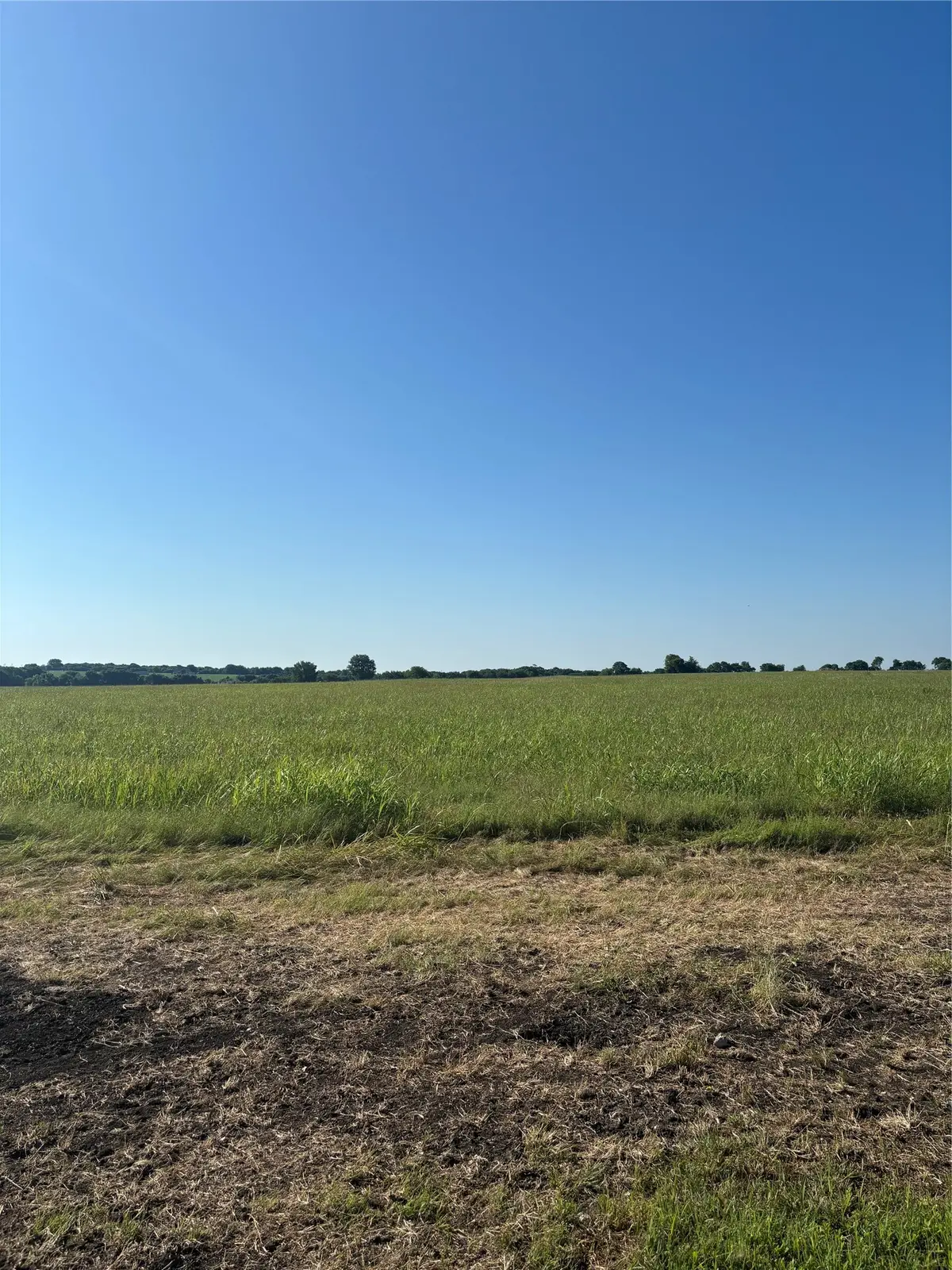 TBD Boz Road #3, Waxahachie, TX 75167 - #1