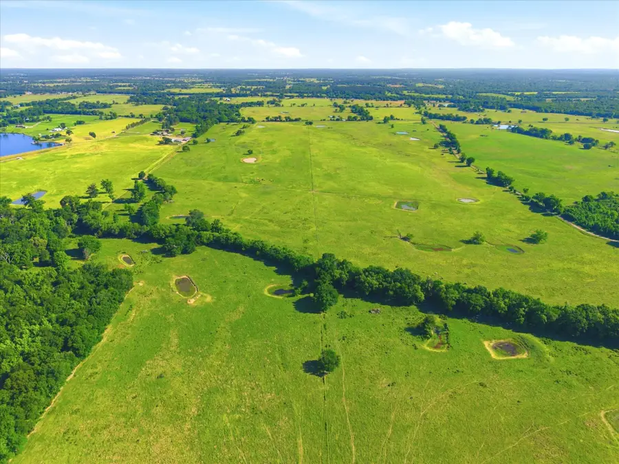 TBD Farm To Market 1995, Van, TX 75790 - #3