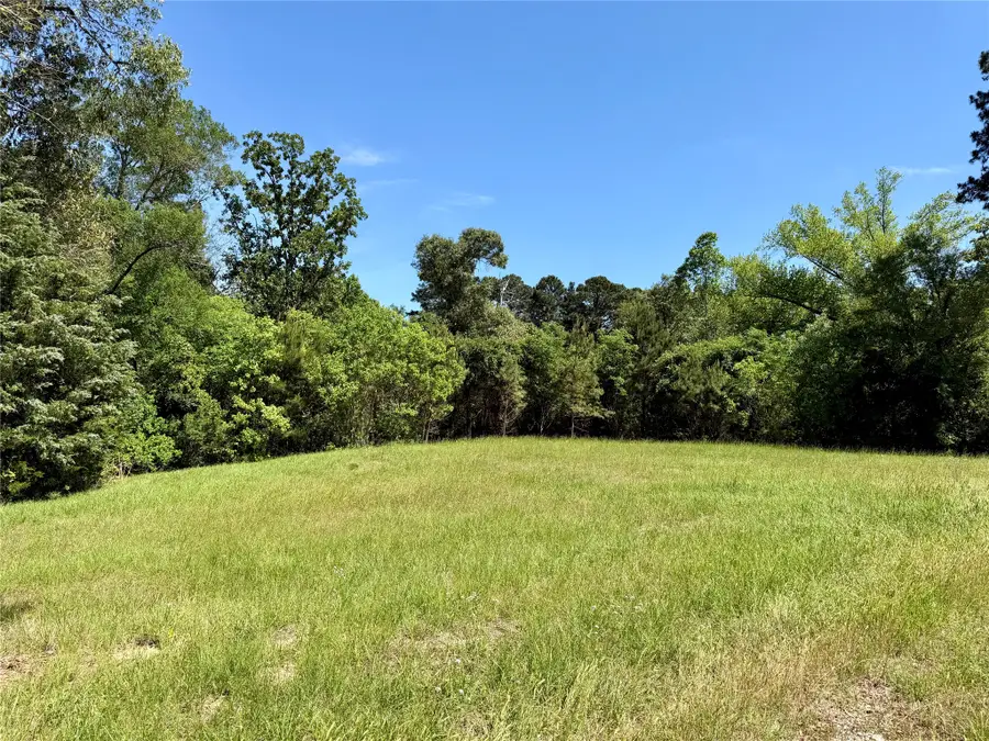 0000 County Road 3202, Chandler, TX 75758 - #3