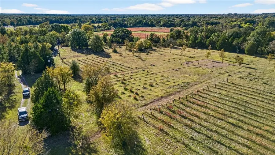 1603 Vz County Road 2908, Eustace, TX 75124 - #2