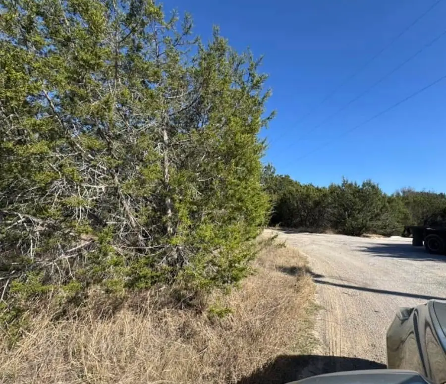 4711 Evening View Drive, Granbury, TX 76048 - #3