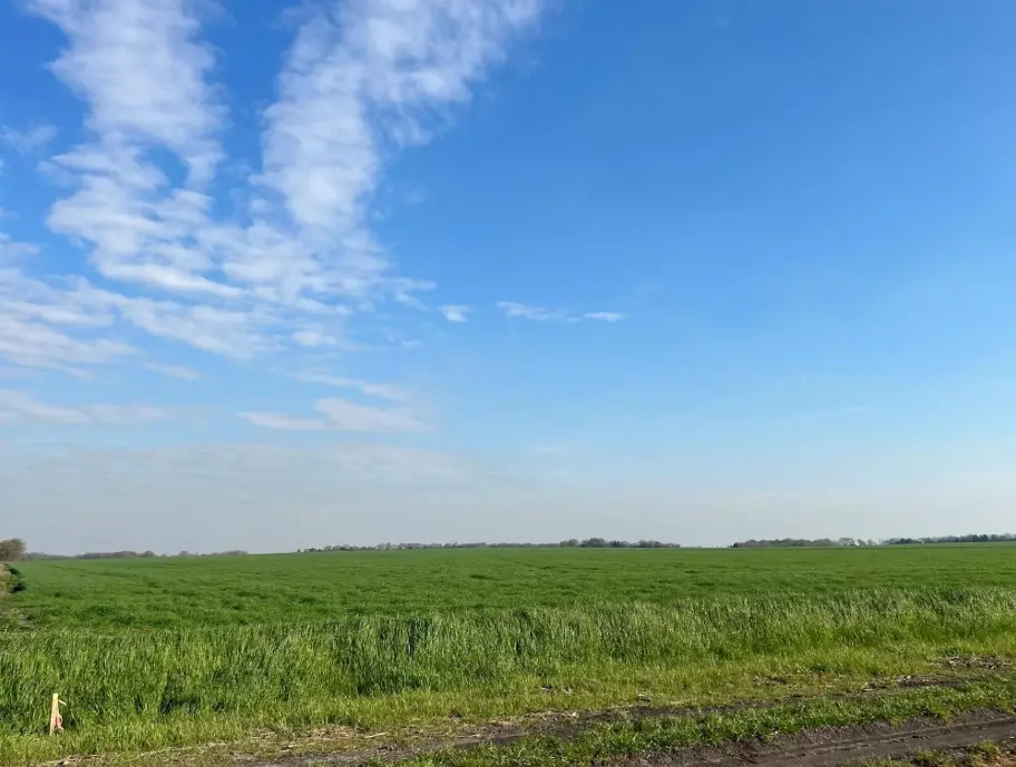 TBD Mustang Road, Waxahachie, TX 75165 - #1