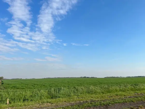 TBD Mustang Road, Waxahachie, TX 75165