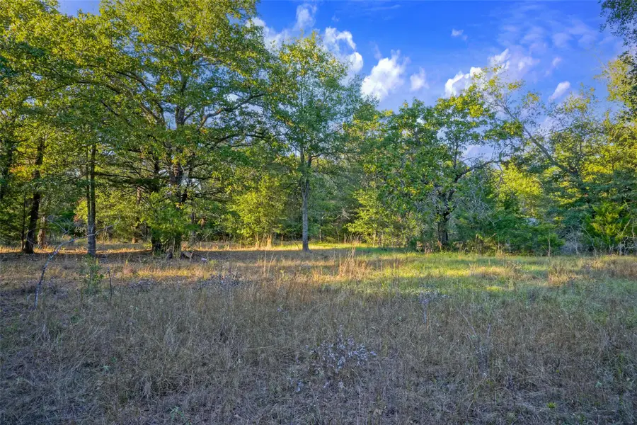 45 Acres County Road 930, Teague, TX 75860 - #2