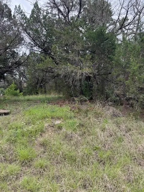 4003 Tahoe Court, Granbury, TX 76048 - #1