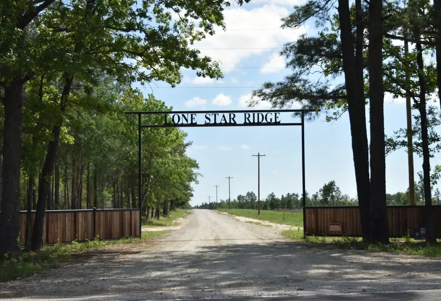 475 Cherokee Trail, Lovelady, TX 75851 - #2