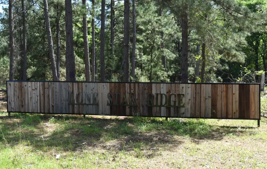 475 Cherokee Trail, Lovelady, TX 75851 - #3