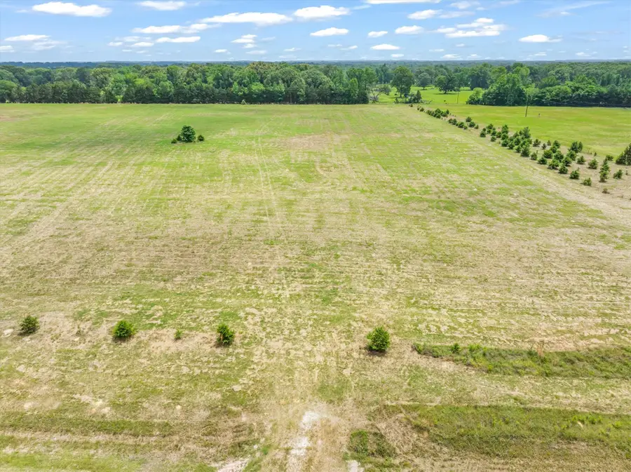 TBD Vz County Road 4912, Van, TX 75790 - #2