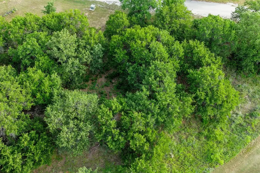 173 Oakwood Trail, Eastland, TX 76448 - #2