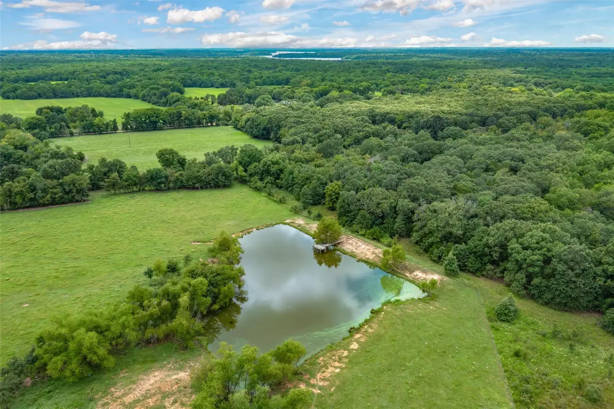 TBD Fm 1197, Yantis, TX 75497 - #1