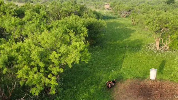 401 Cr 498, Goldsboro, TX 79519