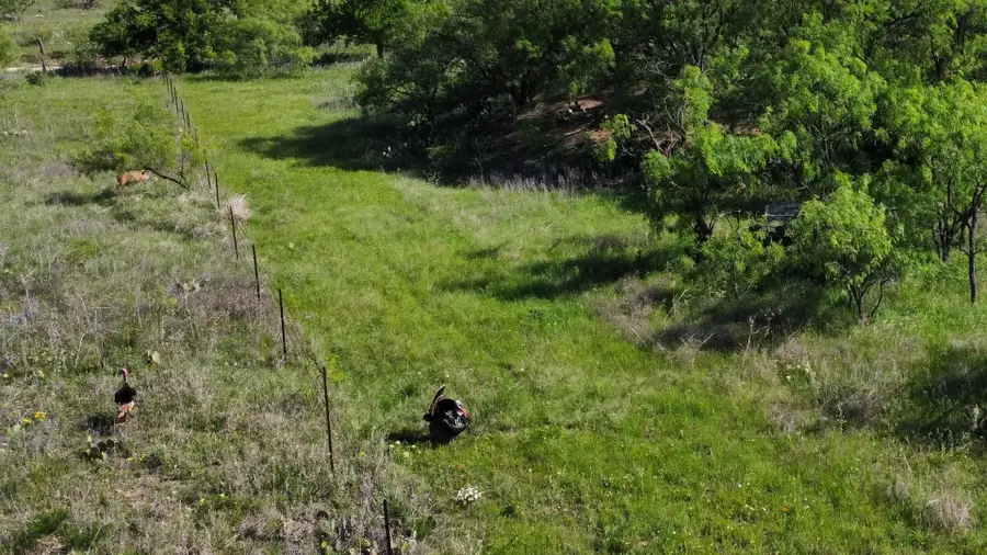 401 Cr 498, Goldsboro, TX 79519 - #3