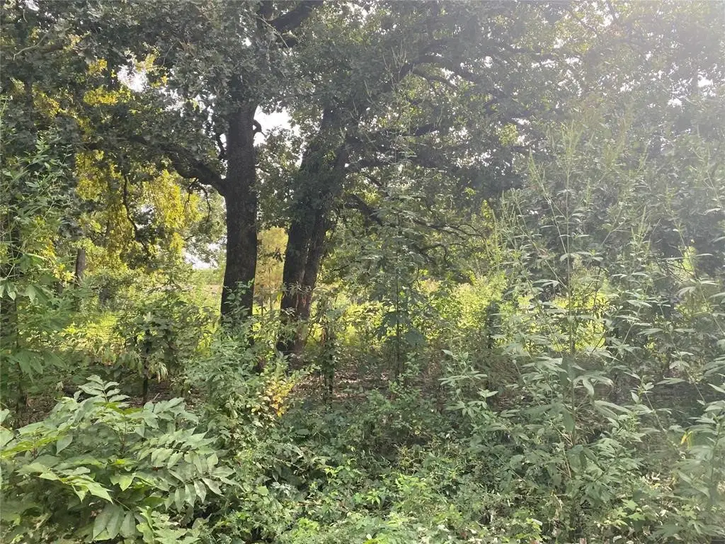 TBD LOT 4 AND 5 Goldwater, Kemp, TX 75143 - #1