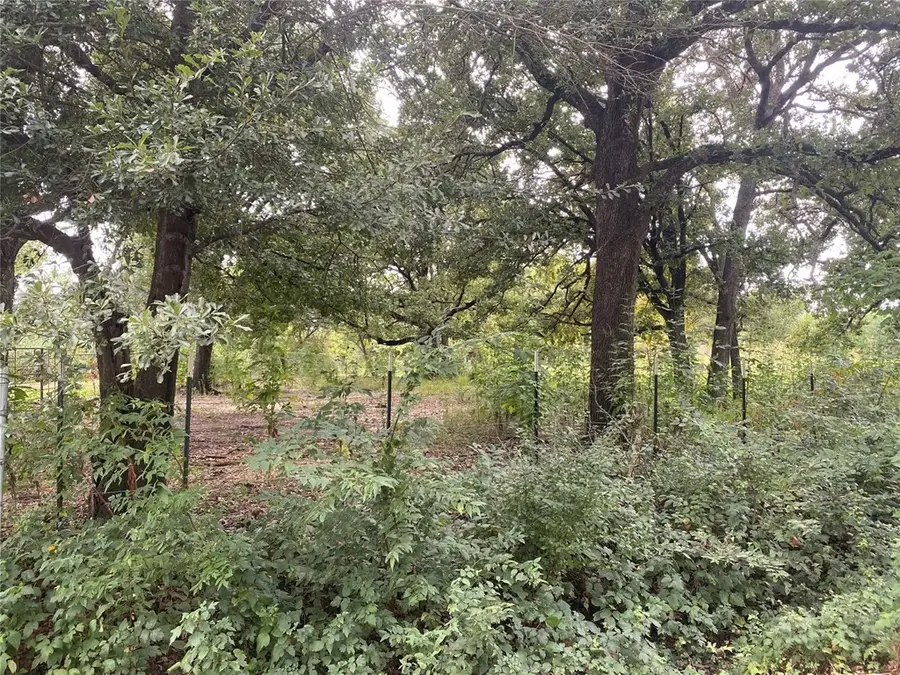 TBD LOT 3 Goldwater, Kemp, TX 75143 - #2