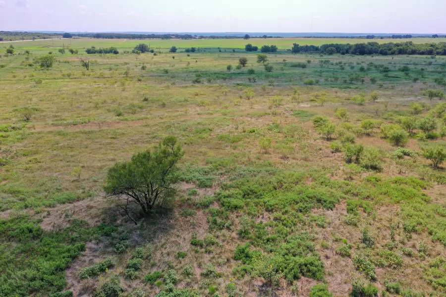 29.56 Acres Ballard Road, Jacksboro, TX 76458 - #3