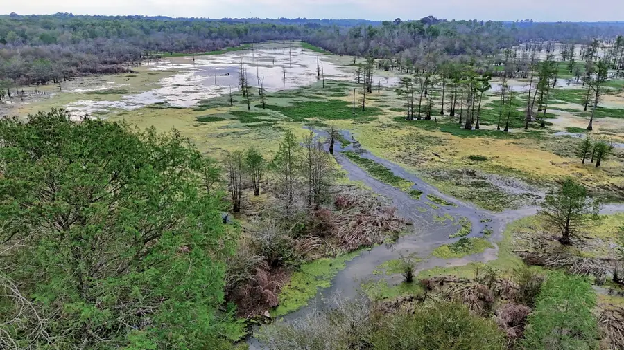 TBD County Rd 401, Carthage, TX 75633 - #3
