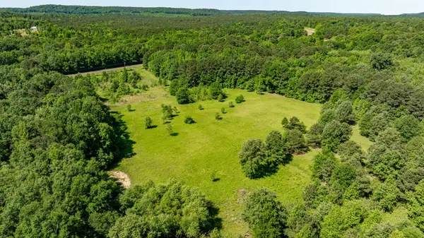 TBD Fm 557, Pittsburg, TX 75686