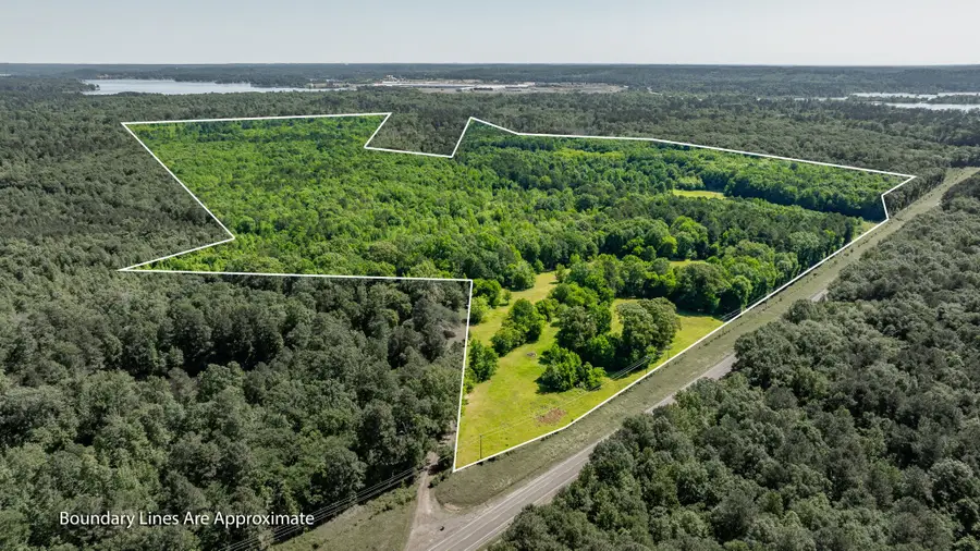 TBD Fm 557, Pittsburg, TX 75686 - #2
