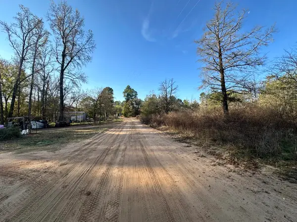 Lot 529 Hickory Lane, Mineola, TX 75773