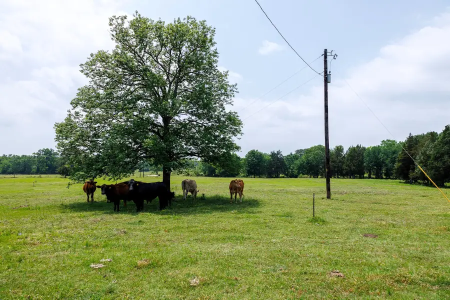 6100 Fm 314, Ben Wheeler, TX 75754 - #2