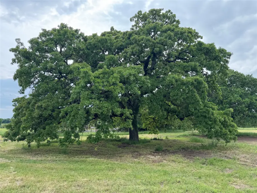 4532 Waples Road, Granbury, TX 76049 - #2