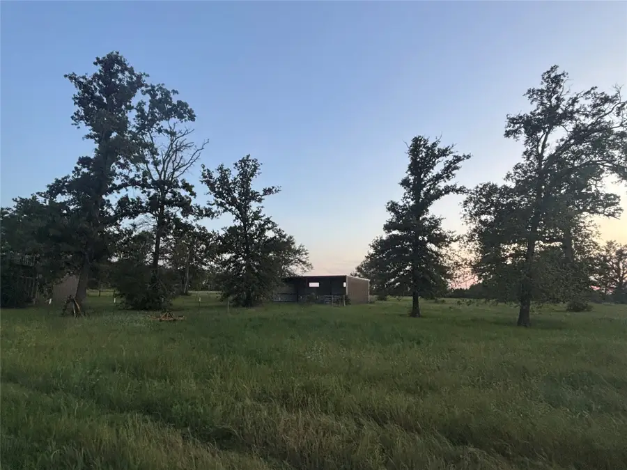 296 Lcr 806, Groesbeck, TX 76642 - #3