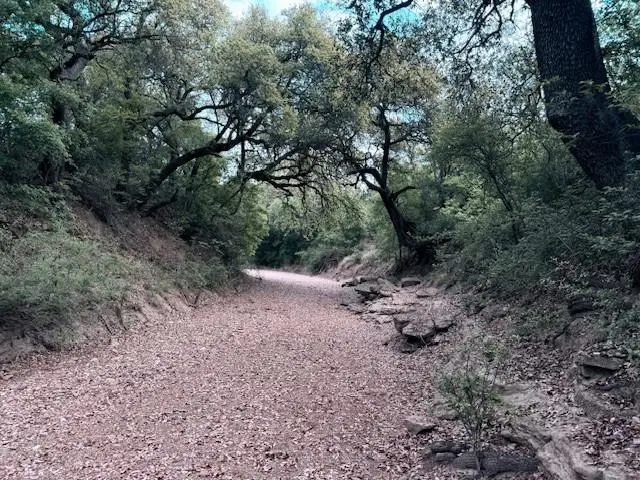 950 County Road 442, Mercury, TX 76872 - #1