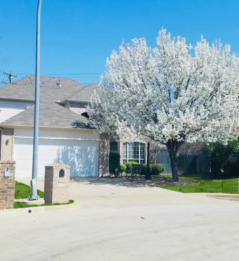 10236 Sourwood Drive, Fort Worth, TX 76244 - #1