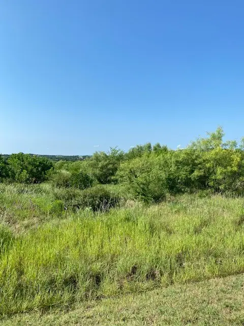 Lot 203 Evening Primrose Drive, Possum Kingdom Lake, TX 76449 - #3