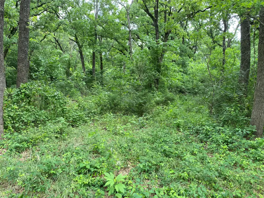 TBD NW County Road 3323, Frost, TX 76641 - #2