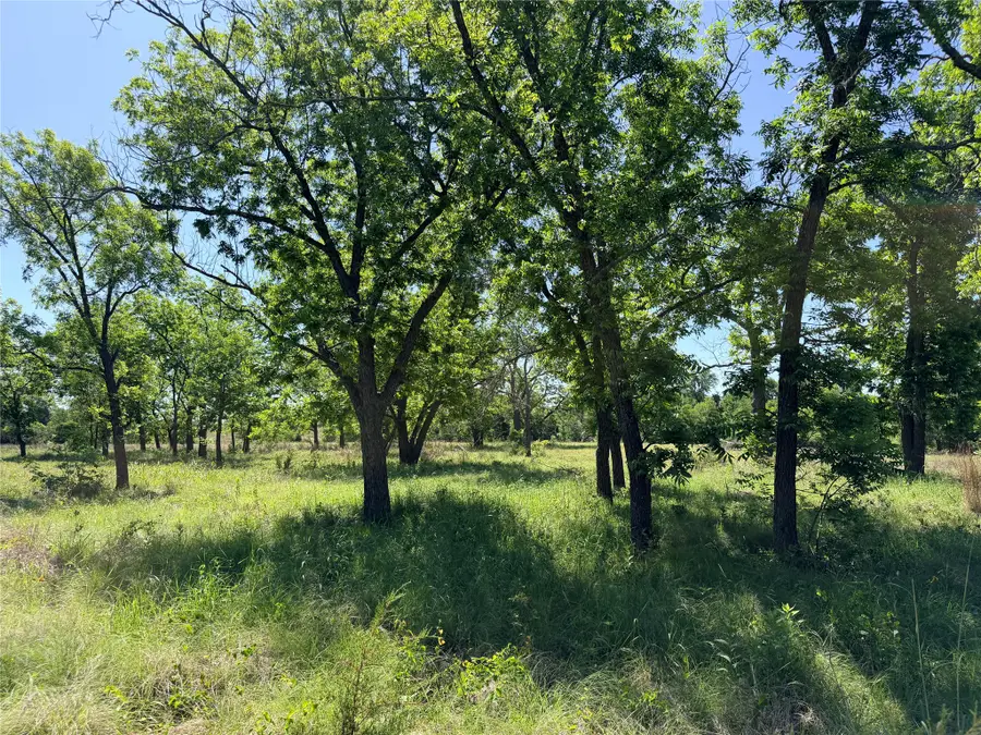 2455 Fm 1047, Star, TX 76880 - #2