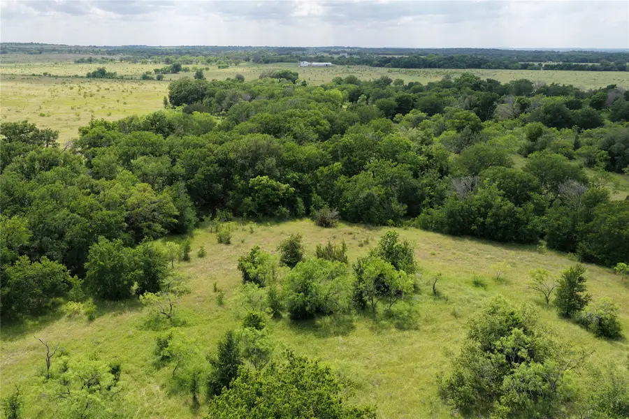Lot 29 Twisted Creek Drive, Gustine, TX 76455 - #2