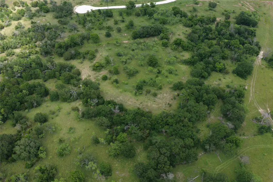 Lot 29 Twisted Creek Drive, Gustine, TX 76455 - #3