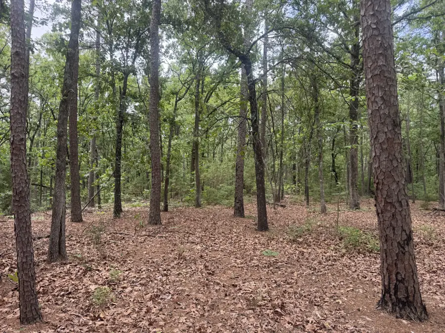 000 Cr 34980, Powderly, TX 75473 - #3