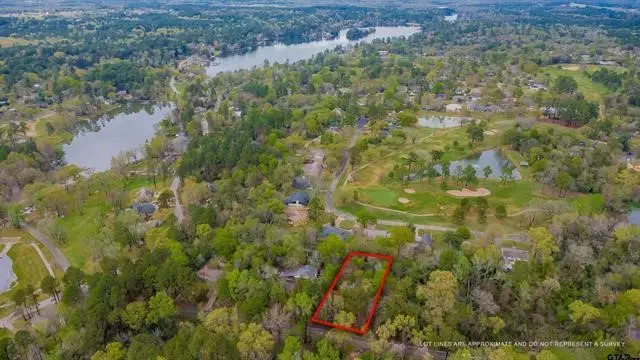 161 Fairway Drive E, Hideaway, TX 75771 - #1