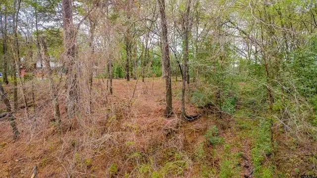 161 Fairway Drive E, Hideaway, TX 75771 - #2