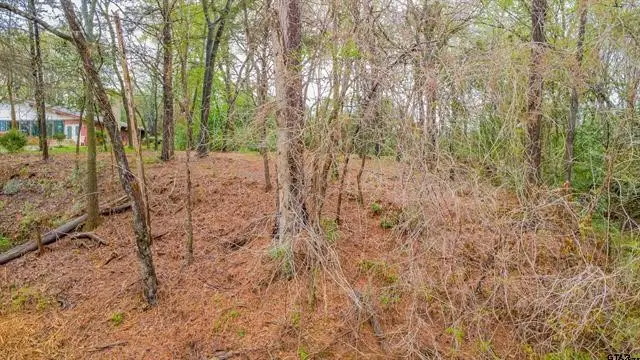 161 Fairway Drive E, Hideaway, TX 75771 - #3