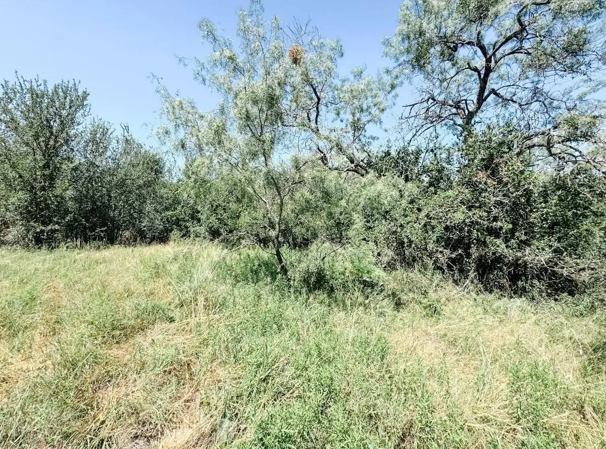 Lot 11 Morris Sheppard Drive, Brownwood, TX 76801 - #1