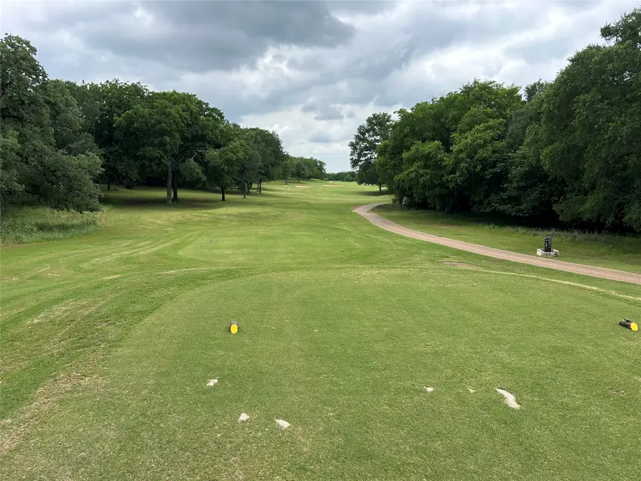 17162 & 21121 Trailwood Drive, Whitney, TX 76692 - #3