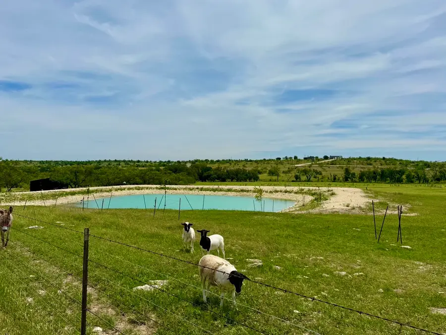 1313 County Road 266, Gustine, TX 76455 - #2